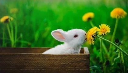 yl7703永利-首战高效刷新历史纪录 特雷·扬:我更在乎的是胜利